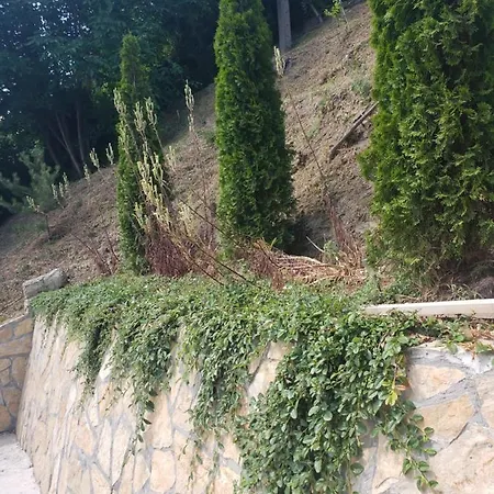 Slankamenka Dom wakacyjny