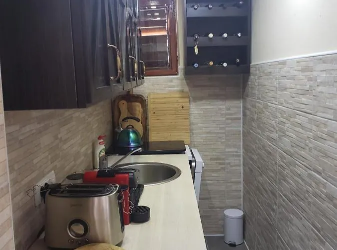 펜션 Slankamenka Stari Slankamen